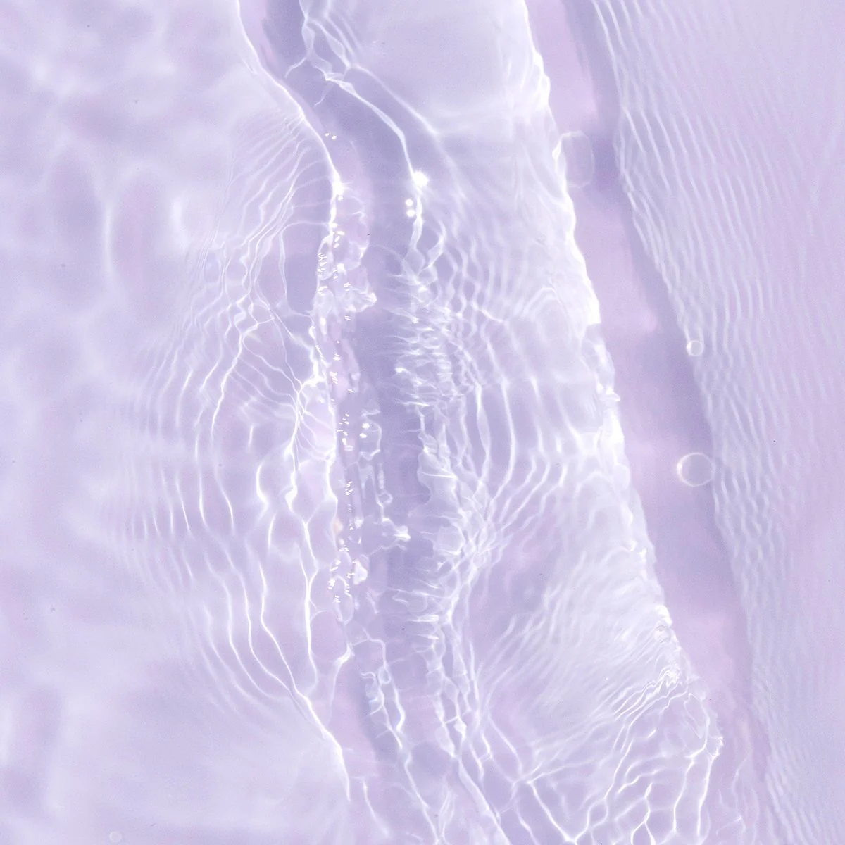 The Essence - Image 3