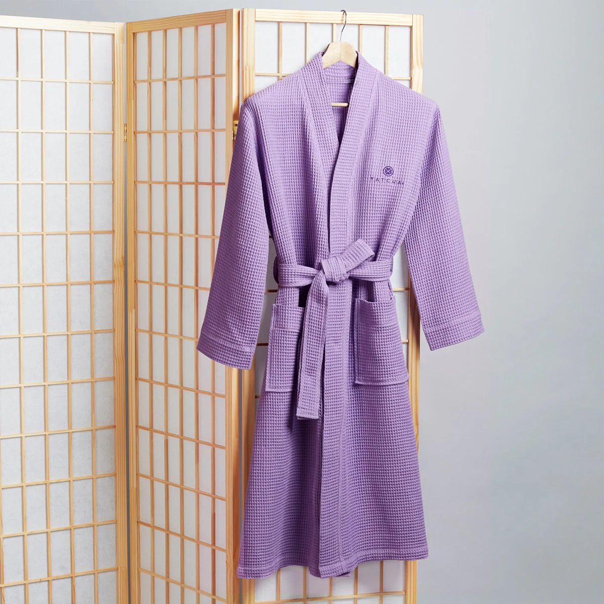 The Robe - Image 6